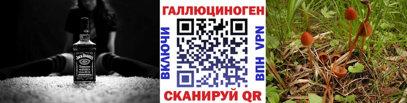 Галлюциногенные грибы мухоморы  купить наркотики цена  Алагир 